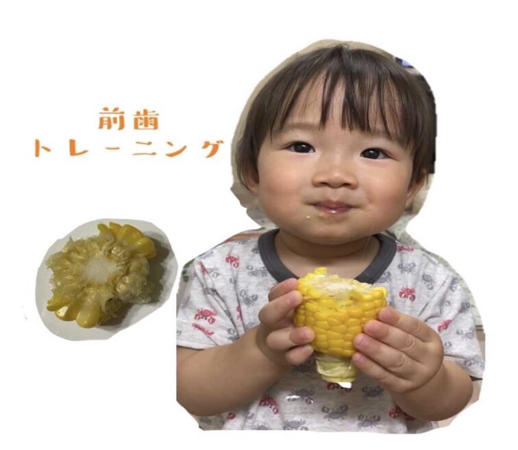 1.よく噛んで育てる、きれいな歯並び