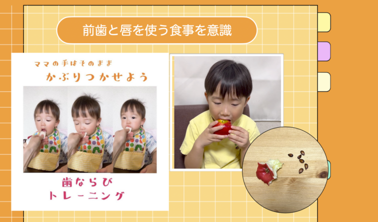 🍎15.顎を育てる“かみかみ生活”のススメ